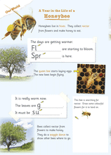 CGP Discover & Learn Year One Science Study & Activity Book
