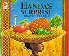 Handa's Surprise Board Book