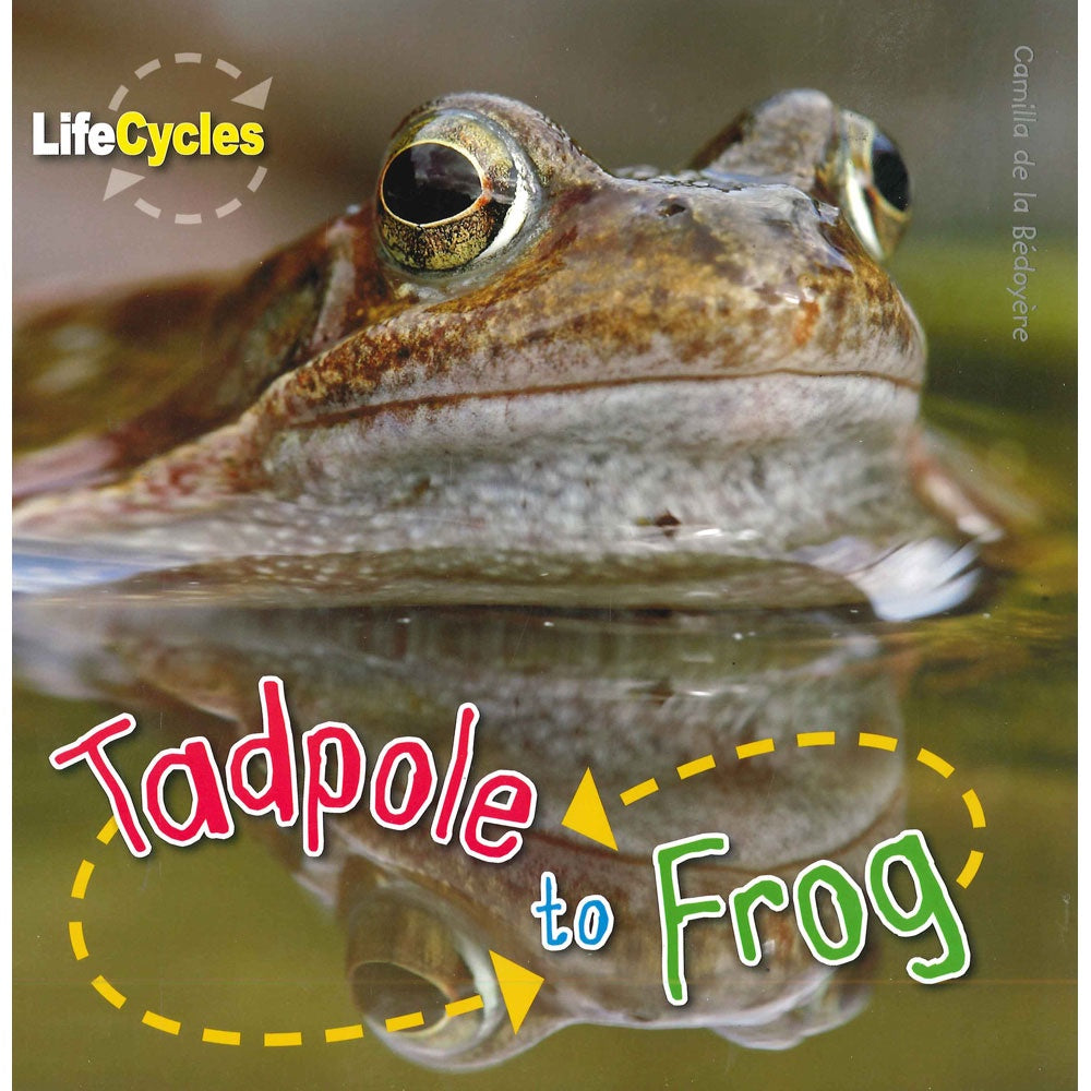 Life Cycles - Tadpole to Frog